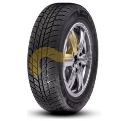 RoadX RXFrost WH01