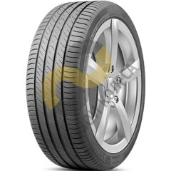 Delinte DS2 Run Flat 225/50 R17 94W