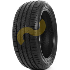 Delinte DS-2 SUV 255/45 R20 105W 