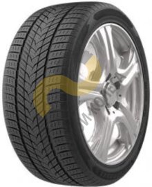 Roadmarch Winter X Pro 999 245/45 R19 102H 