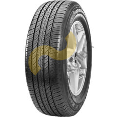 Maxxis Pragmatra MP10